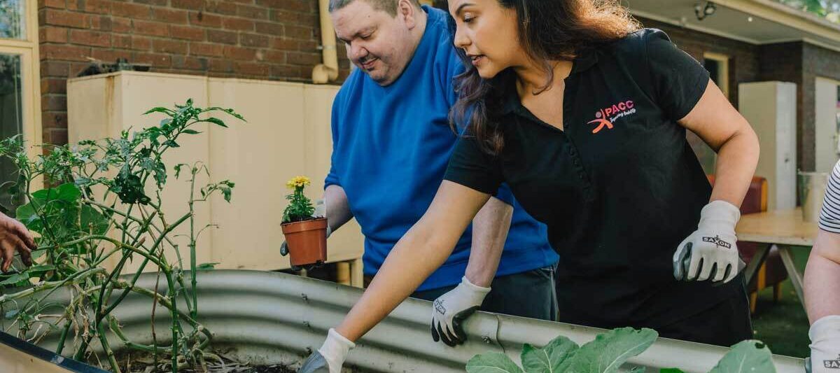 Gardening at PACC as part of day options in Adelaide